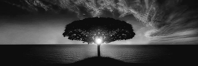 Ichi 🇸🇪 banner