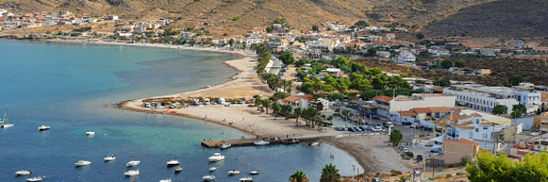 Pacom Profile Banner