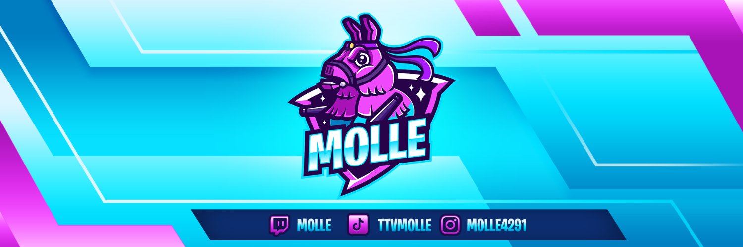 MistarzMolle's profile banner image