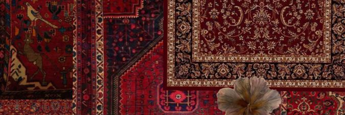 Eda 🇹🇷 banner