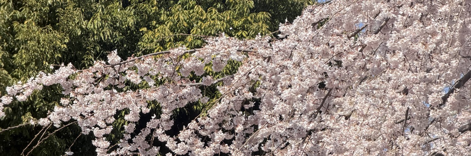 jaenine99 banner