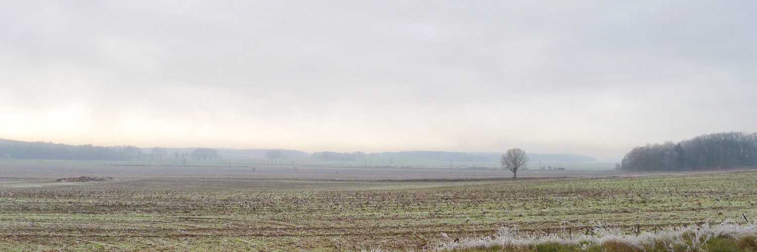 Cassandra 💚😷🇺🇦🏳️‍🌈 banner