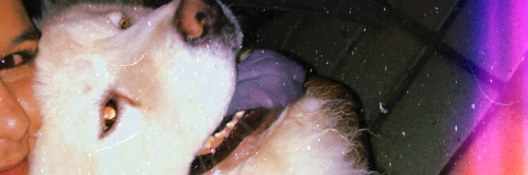 negajessik's profile banner image