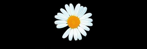 SPink_Legend Profile Banner