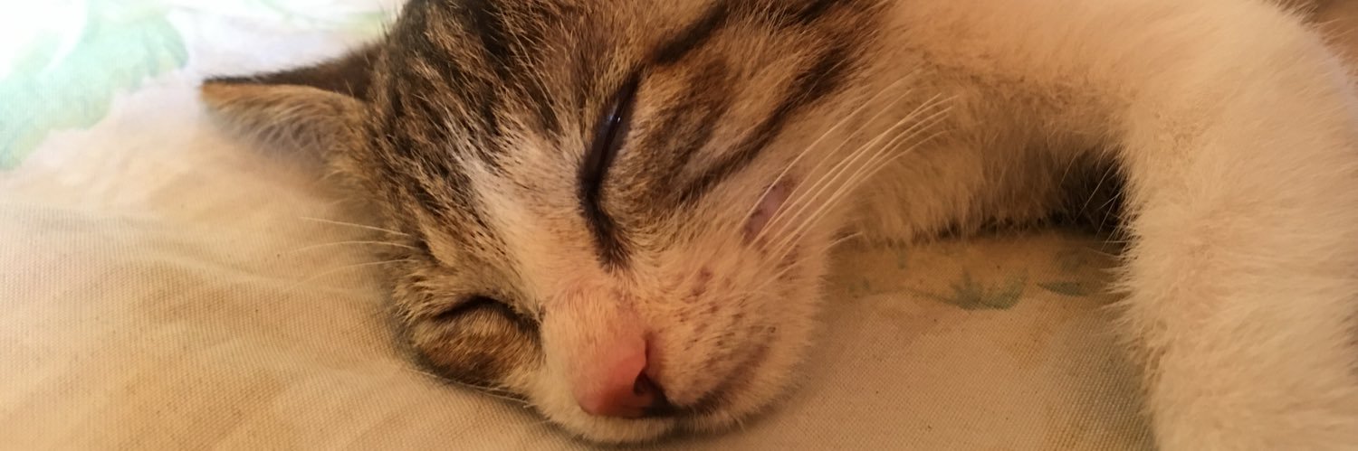 JOrbs's profile banner image