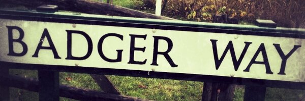 HighburyBadger Profile Banner