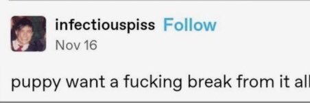 mr wilde 🦊 banner