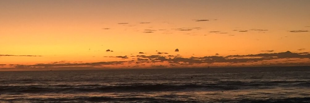 merf_the_surf's profile banner image