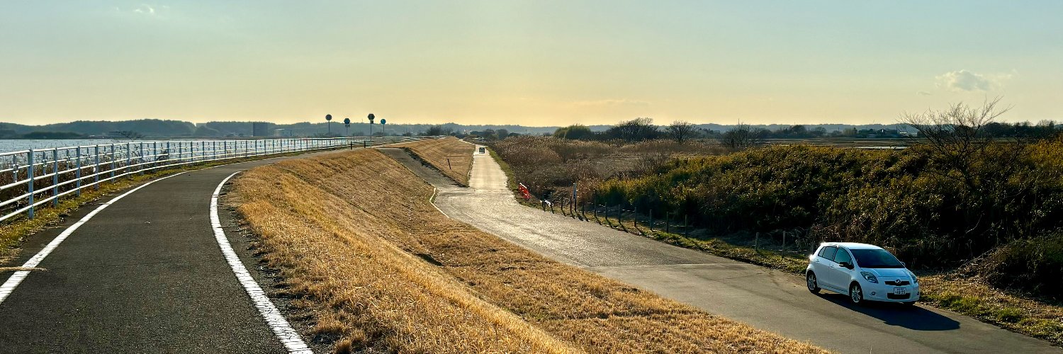 hosoto_'s profile banner image