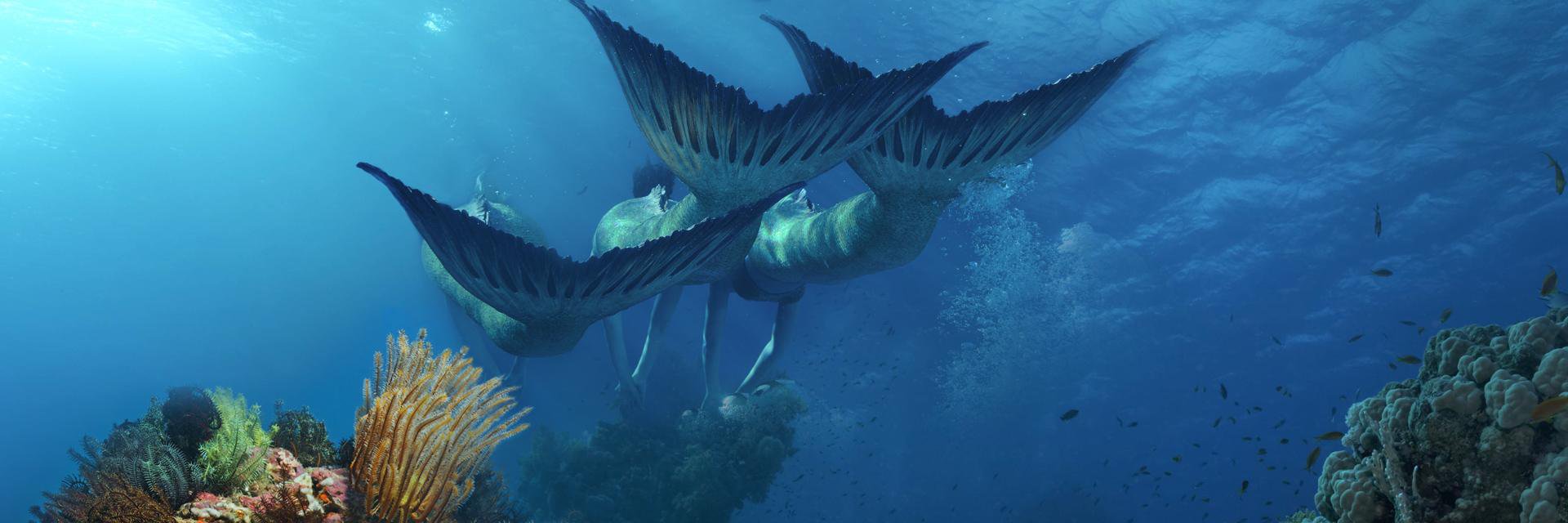 Mako Mermaids Russia banner