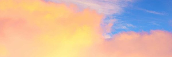 SandraBez9 Profile Banner