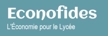 Econofides banner