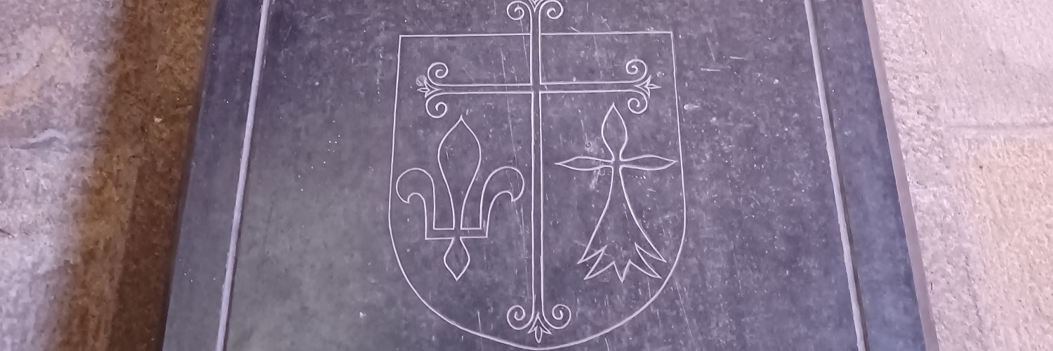 Brigordien 〓〓🏰🪿 banner