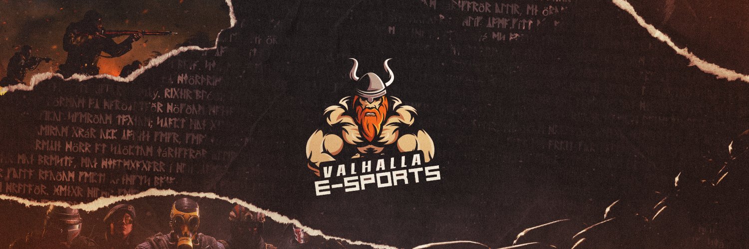 Valhalla Esports ❤️🇺🇦 banner