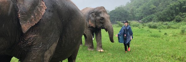 WParkerMDPHD Profile Banner