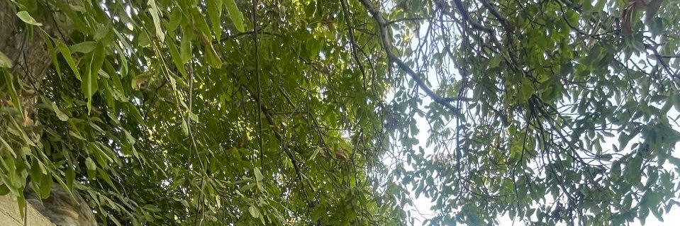 مامان رادین🥰 banner