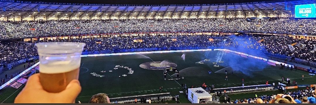 Pedro Henrique 🇧🇷🦊💀 banner