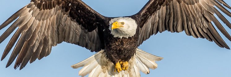 ME banner