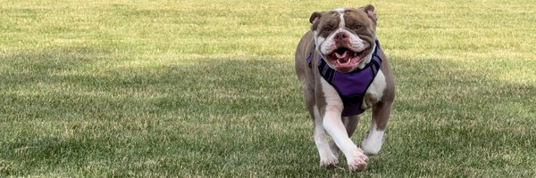 RileyLanceB Profile Banner