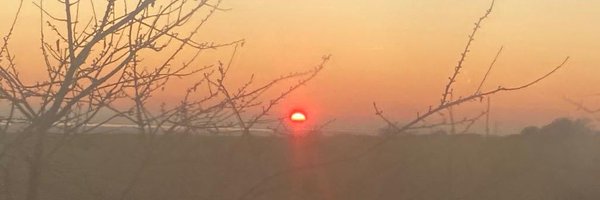 MilesHenryE Profile Banner