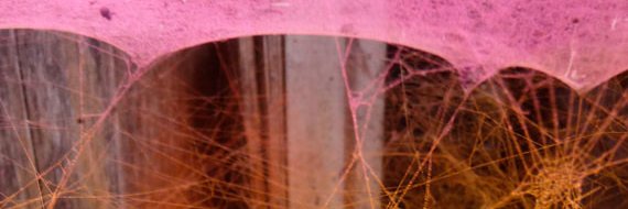 valeryoverhoff's profile banner image