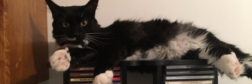 RisaWarner's profile banner image