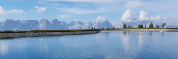 rene_mobile Profile Banner