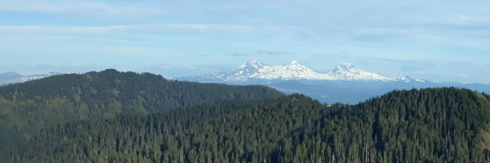 Sirpa Multaharju banner