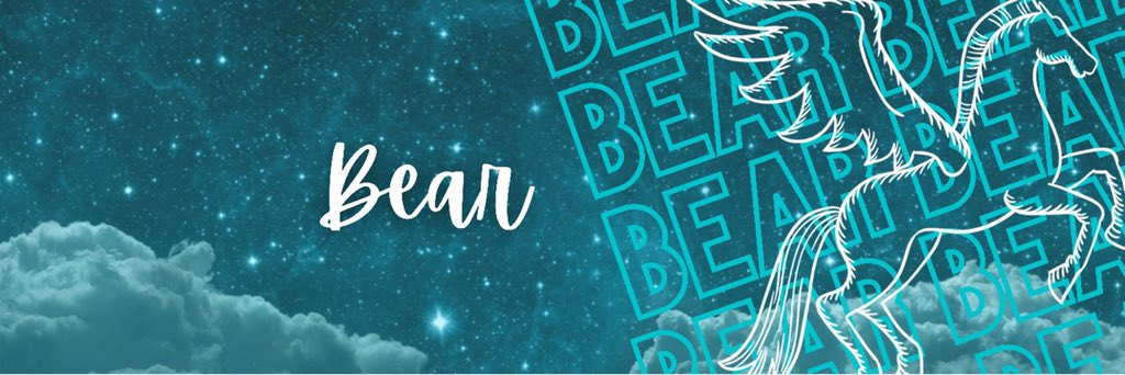 sizedbear's profile banner image