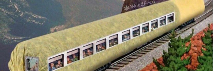 Osamara_'s profile banner image