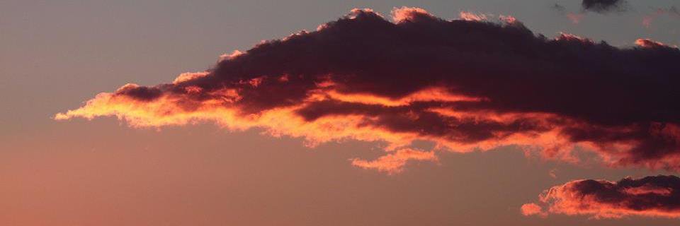 NoraTheExplora banner
