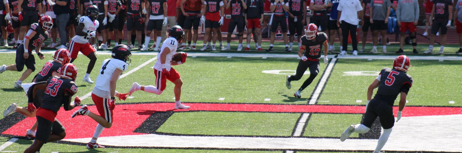 Reddik Pillarelli banner