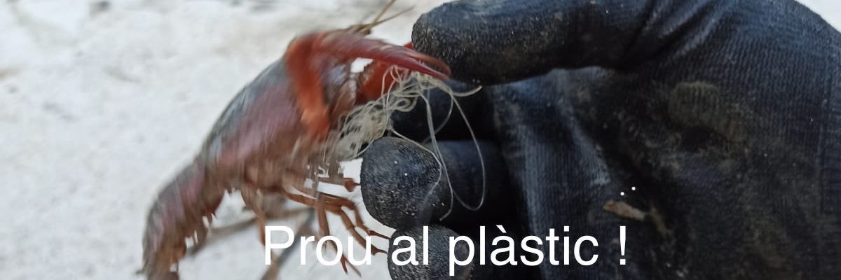 AnoiaPelClima banner