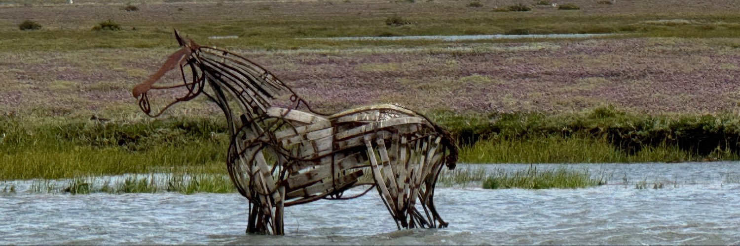 GillianVFearon's profile banner image