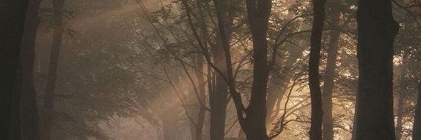 samcc850 Profile Banner