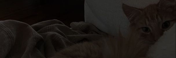 easillem's profile banner image