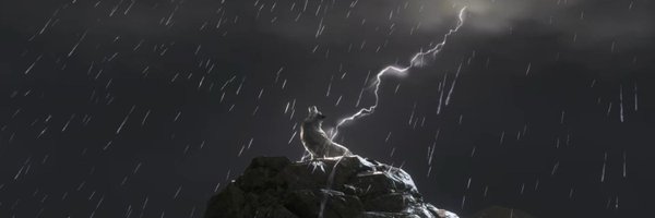 SkyZz_Wolf Profile Banner