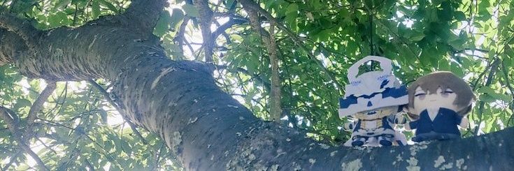 𝙈𝙄𝙉𝙏🌿 banner
