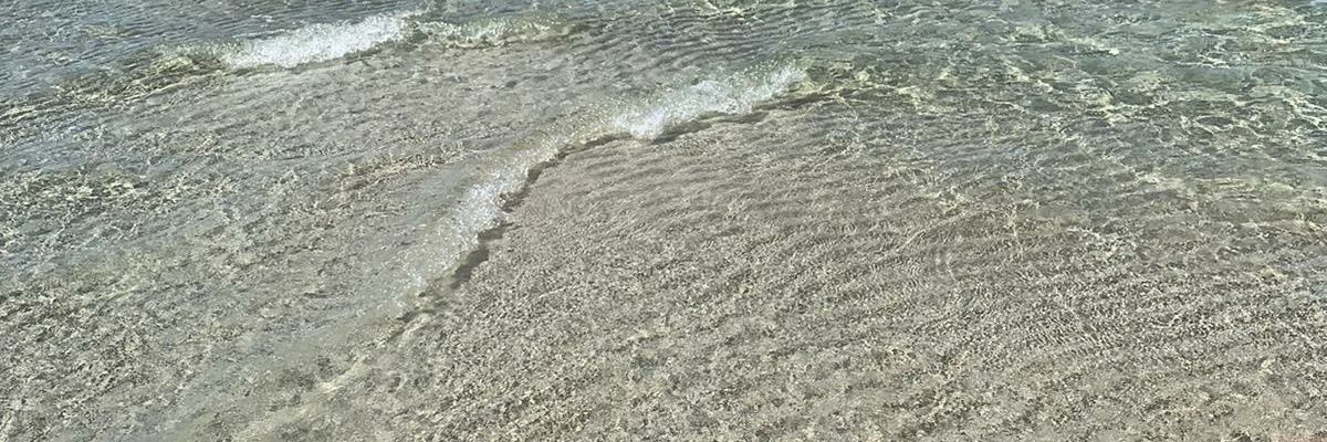 Stef Del Vitto banner