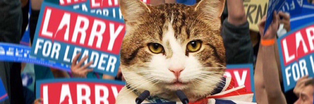 KittyW888's profile banner image