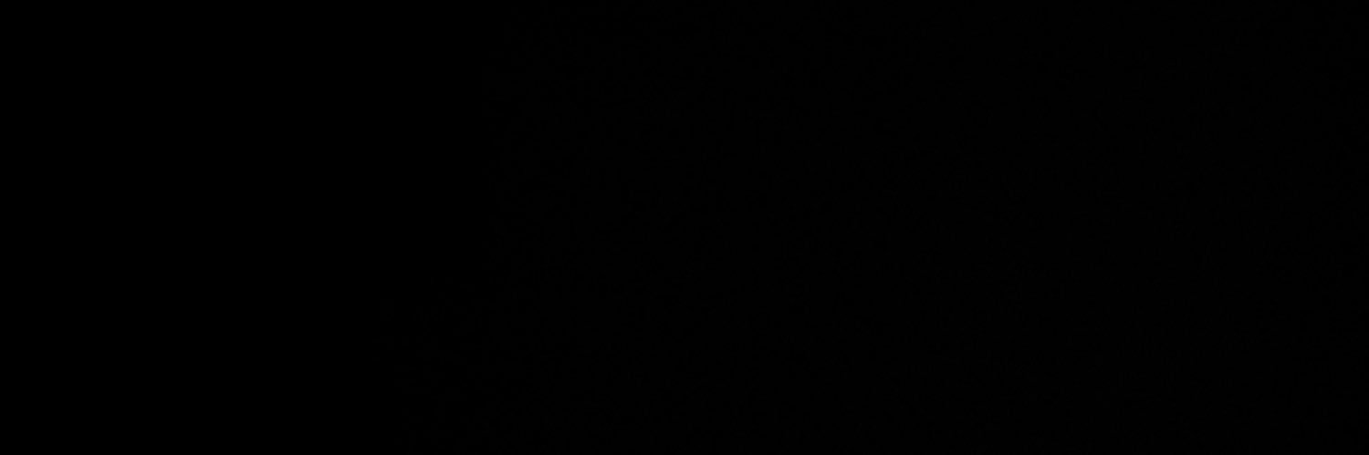 S banner
