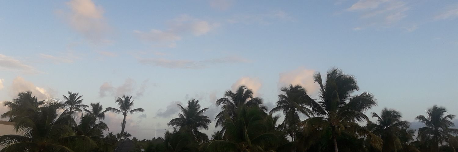 PieriEcheverry7's profile banner image