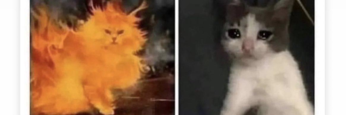 TK😈The Perfect Fairytale banner