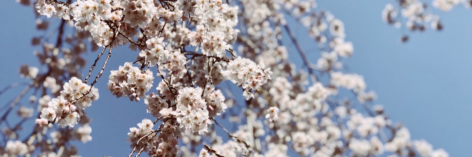 reenaraphaela's profile banner image