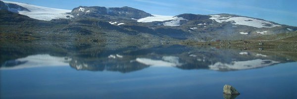 Miottoluc Profile Banner