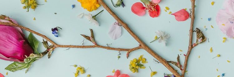 eli_Reeb's profile banner image
