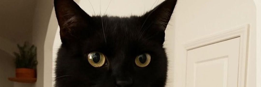 Ruleslogi✴️ banner