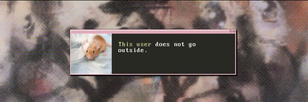 witthefanta Profile Banner