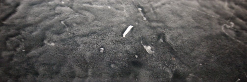 Chloé Borgnon banner