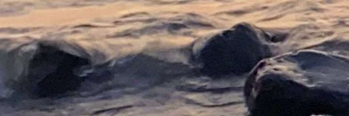 haijanth's profile banner image